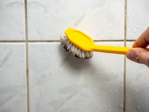 Reliable Fitzgerald, GA Mold Removal Solutions