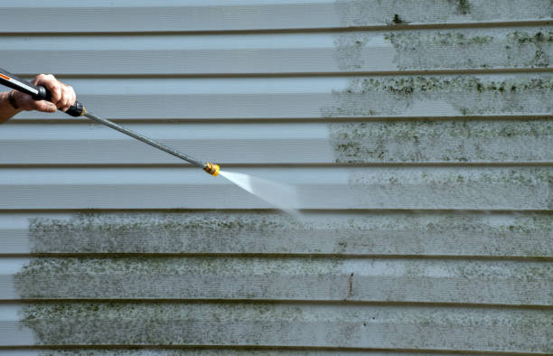 Best Affordable Mold Removal  in Fitzgerald, GA