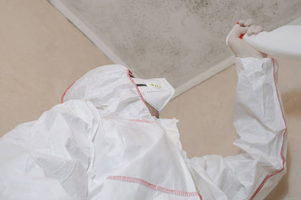 Best Mold Testing  in Fitzgerald, GA