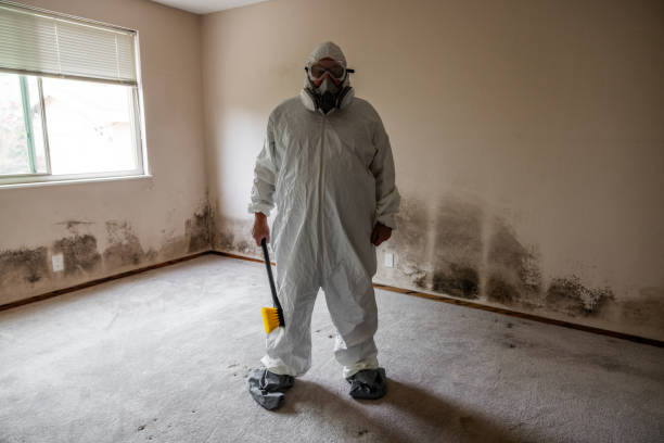 Best Mold Removal Near Me  in Fitzgerald, GA