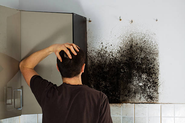Best Local Mold Removal Service  in Fitzgerald, GA