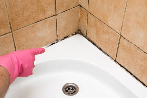Best Certified Mold Removal  in Fitzgerald, GA
